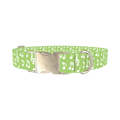 Lime Musical Note Dog Collar - metal silver