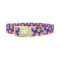 Blue Peppermint Swirl Dog Collar - plastic gold