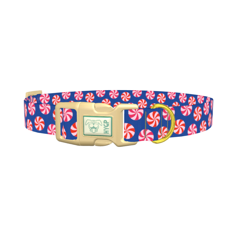 Blue Peppermint Swirl Dog Collar - plastic gold