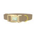  - plastic gold
