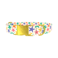 Starfish Mix Dog Collar - metal silver