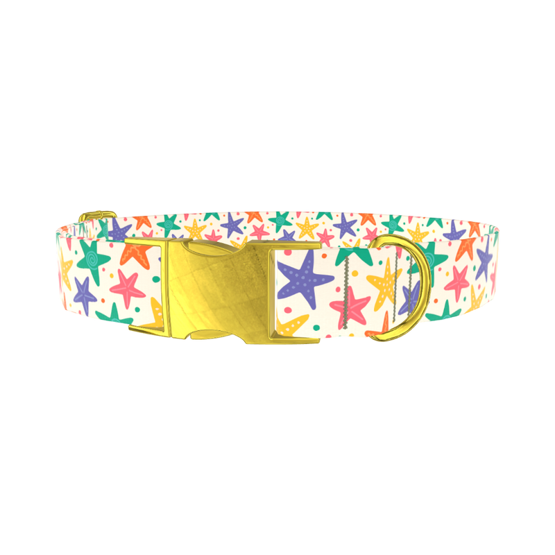 Starfish Mix Dog Collar - metal silver