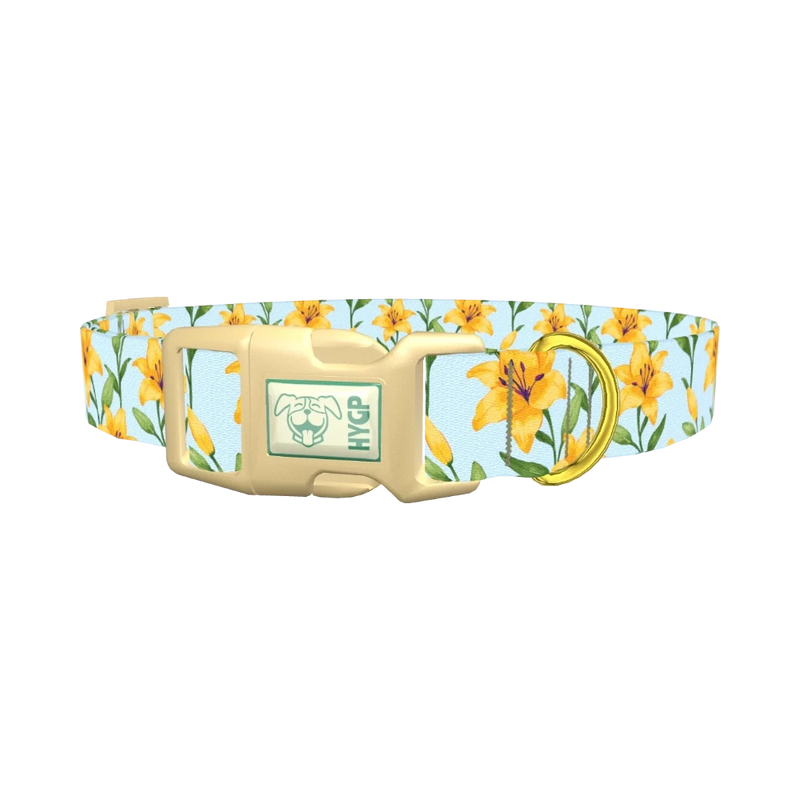 Floral Yellow Lily Dog Collar - plastic gold