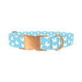 Sky Blue Butterfly Dog Collar - metal rose gold