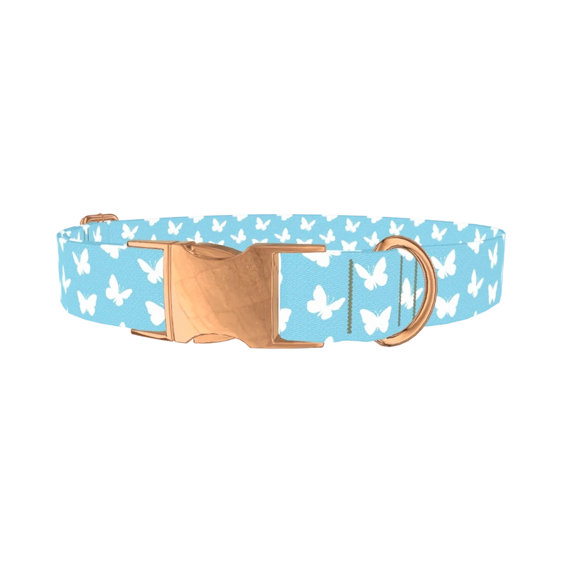 Sky Blue Butterfly Dog Collar - metal rose gold