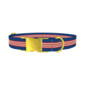 Navy Red Stripe Dog Collar - metal gold