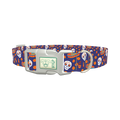 Dia de Muertos Dog Collar - plastic silver
