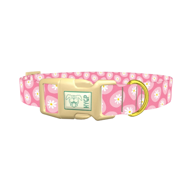 Easter Egg Daisy Dog Collar - plastic gold