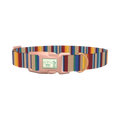 Colorful Striped Dog Collar - plastic rose gold