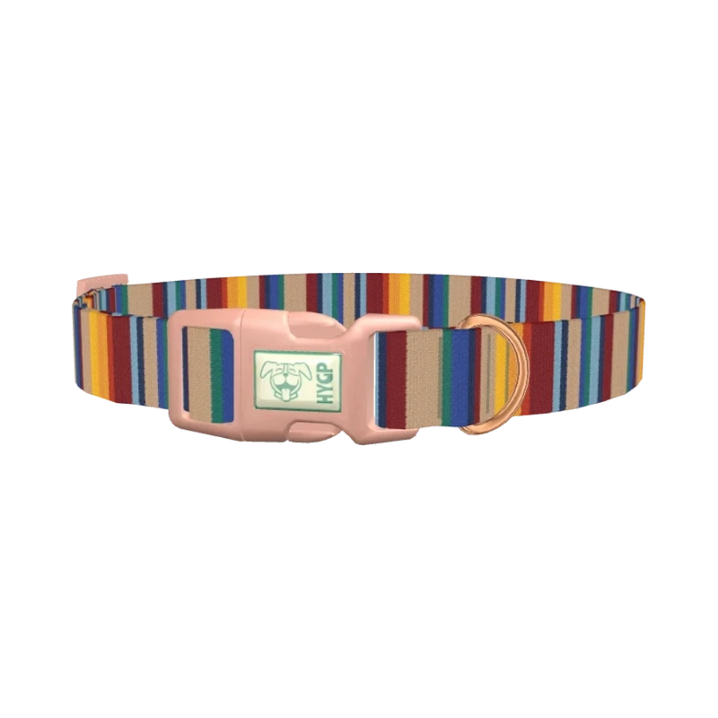 Colorful Striped Dog Collar - plastic rose gold
