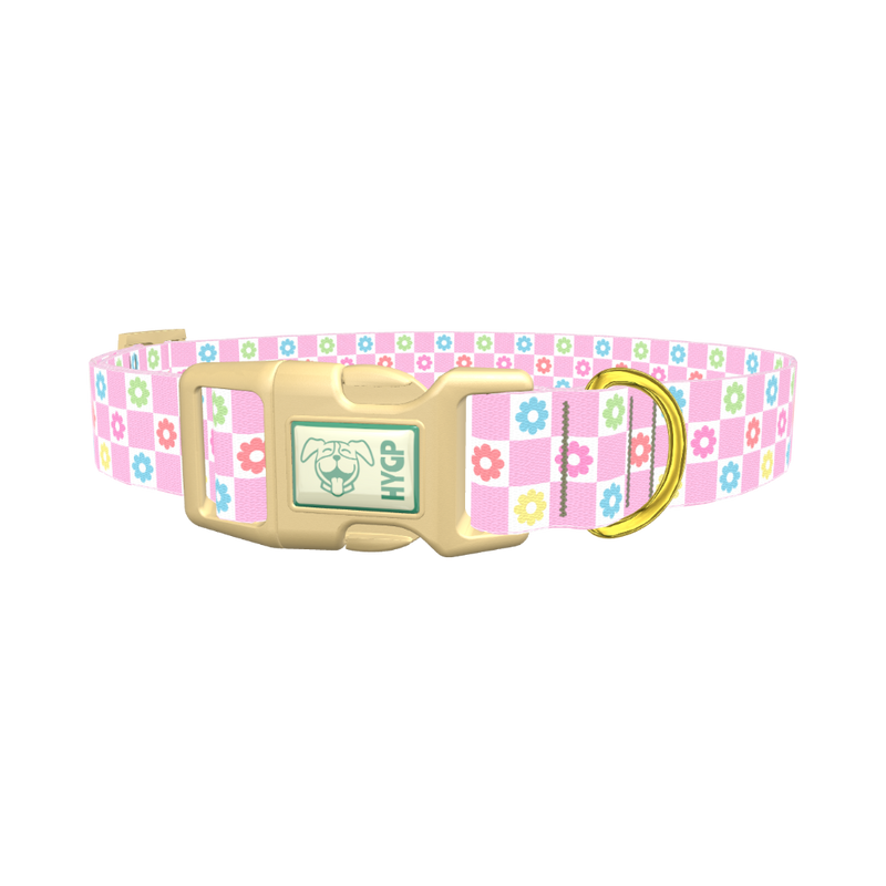 Floral Check Dog Collar - plastic gold