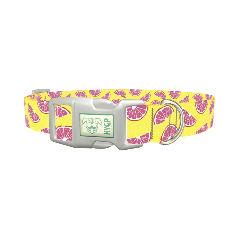 Grapefruit Slice Dog Collar - plastic silver