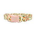 Floral Fruit Dog Collar - plastic gold