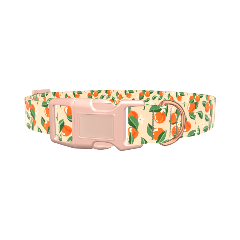 Floral Fruit Dog Collar - plastic gold