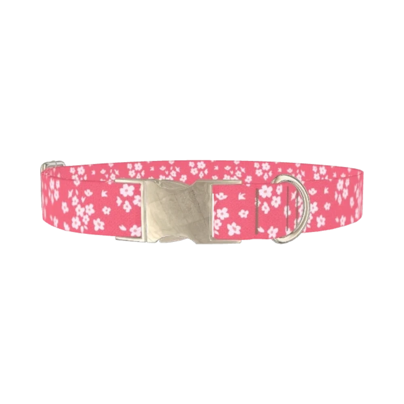 Floral Pink Dog Collar - metal silver