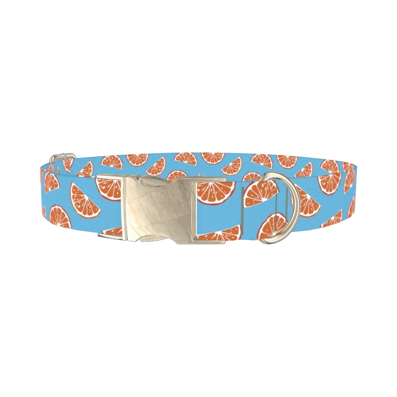 Citrus Slice Dog Collar - metal silver