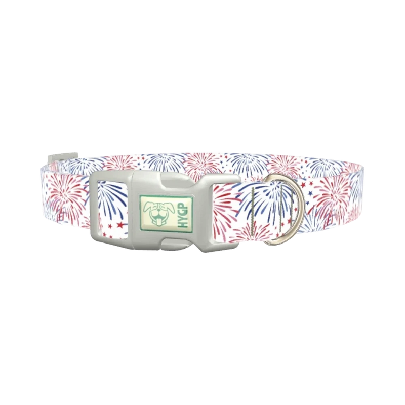 Fireworks Starburst Dog Collar - plastic silver