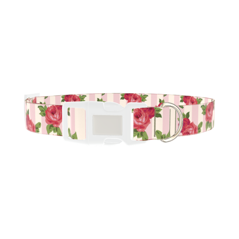 Striped Rose Pattern Dog Collar - plastic silver