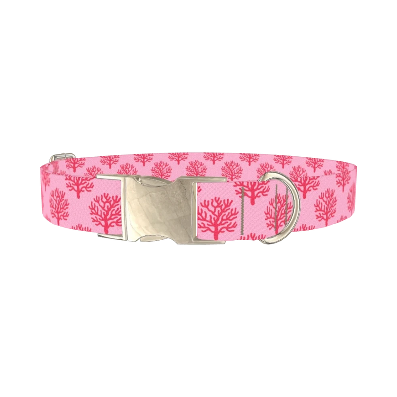 Coral Reef Dog Collar - metal silver