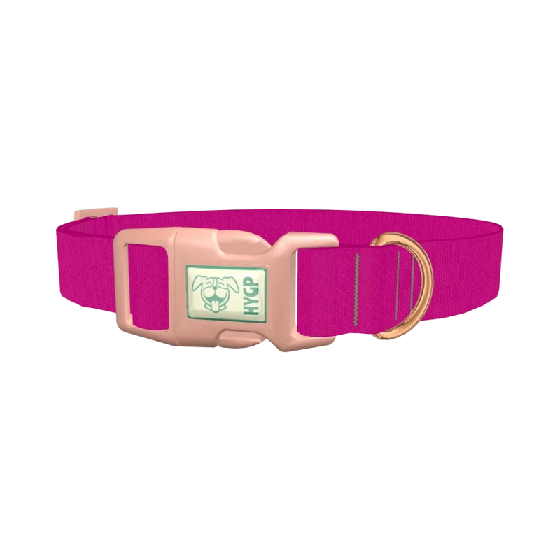 Snappy Violet Color Dog Collar - plastic rose gold