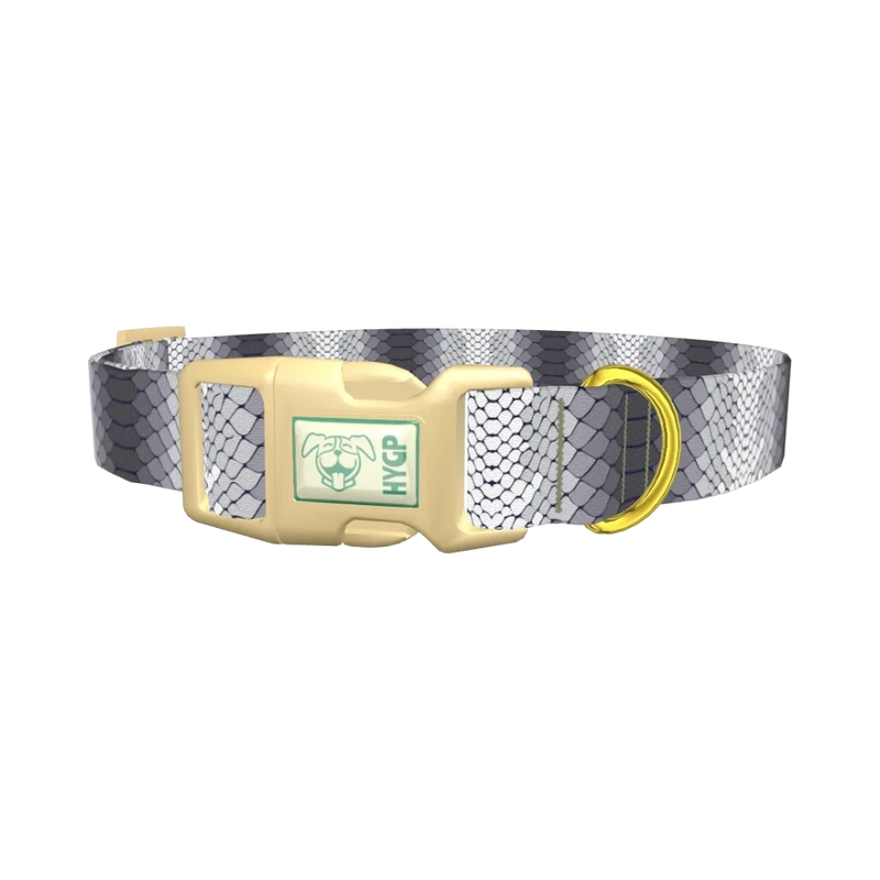 Grey Snake Scale Dog Collar - plastic gold