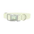 Green Polka Dot Dog Collar - plastic silver