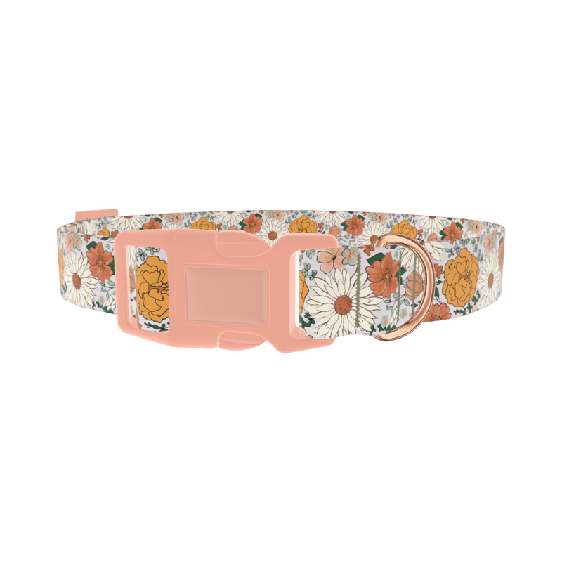 Colorful Floral Dog Collar - plastic rose gold