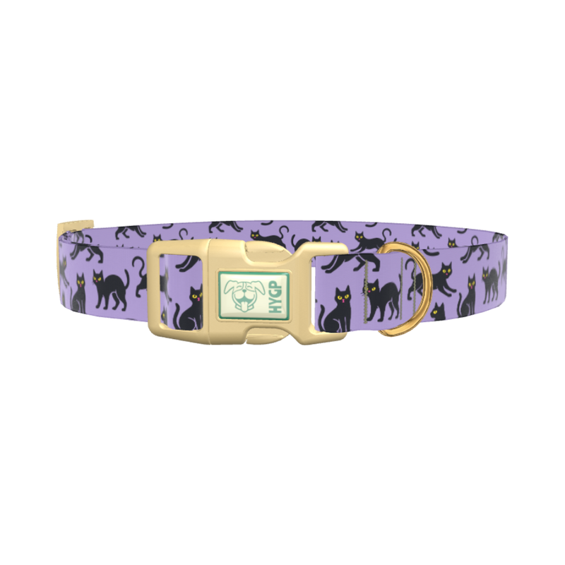 Purple Black Cat Halloween Dog Collar - plastic silver