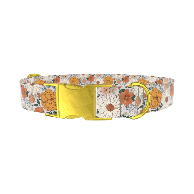 Colorful Floral Dog Collar - metal gold