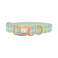 Geometric Petal Dog Collar - plastic rose gold