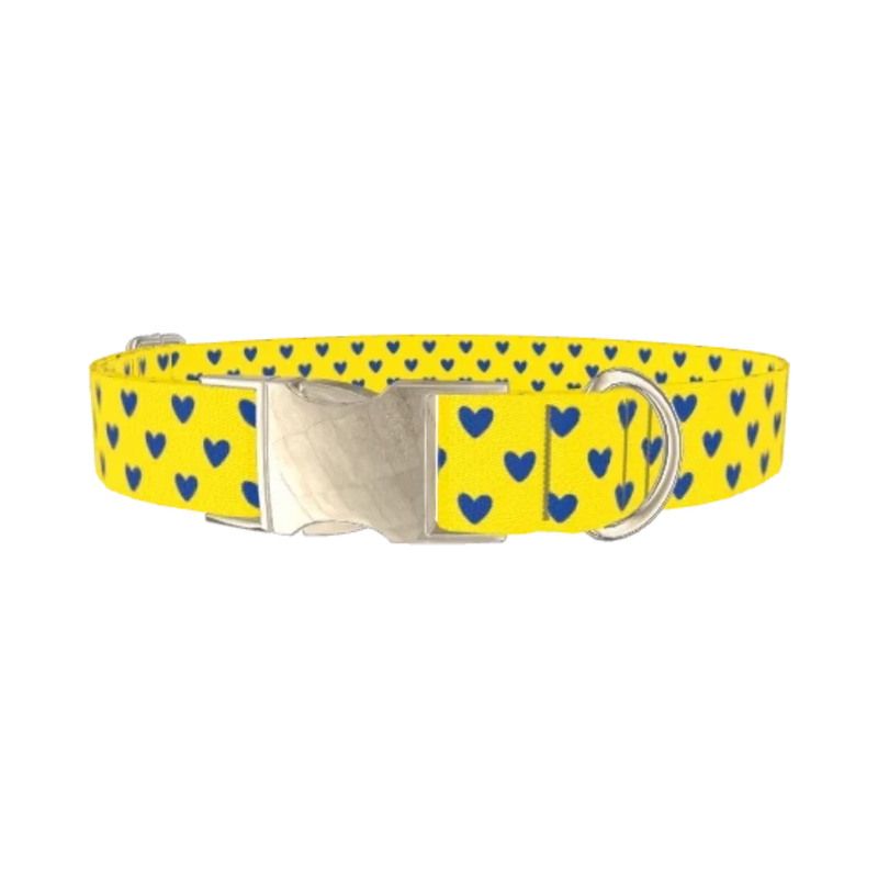 Blue Heart Dog Collar - metal silver