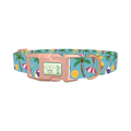 Tropical Beach Dog Collar - plastic rose gold
