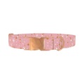 Cosmic Starry Dog Collar - metal rose gold