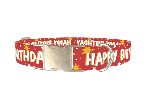 Starry Birthday Dog Collar
