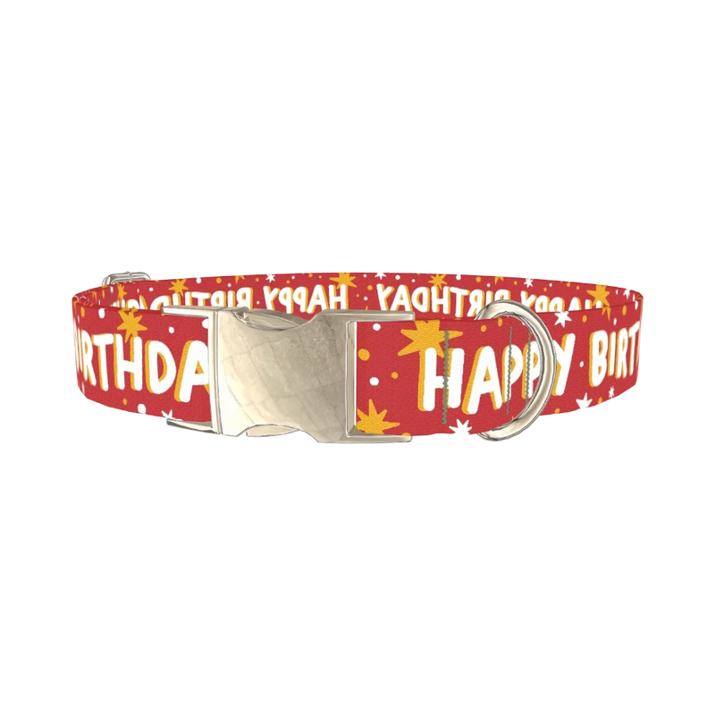 Starry Birthday Dog Collar - metal silver