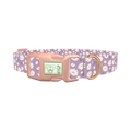 Lavender Daisy Pattern Dog Collar - plastic rose gold