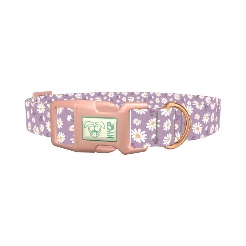 Lavender Daisy Pattern Dog Collar - plastic rose gold