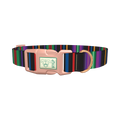 Bold Black Stripe Dog Collar - plastic rose gold
