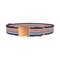 Dark Blue Rainbow Stripe Dog Collar - metal rose gold
