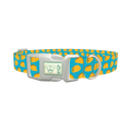 Blue Taco Dog Collar - plastic silver