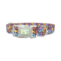 Colorful Dice Pattern Dog Collar - plastic silver