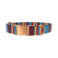 Colorful Stripe Dog Collar - metal silver