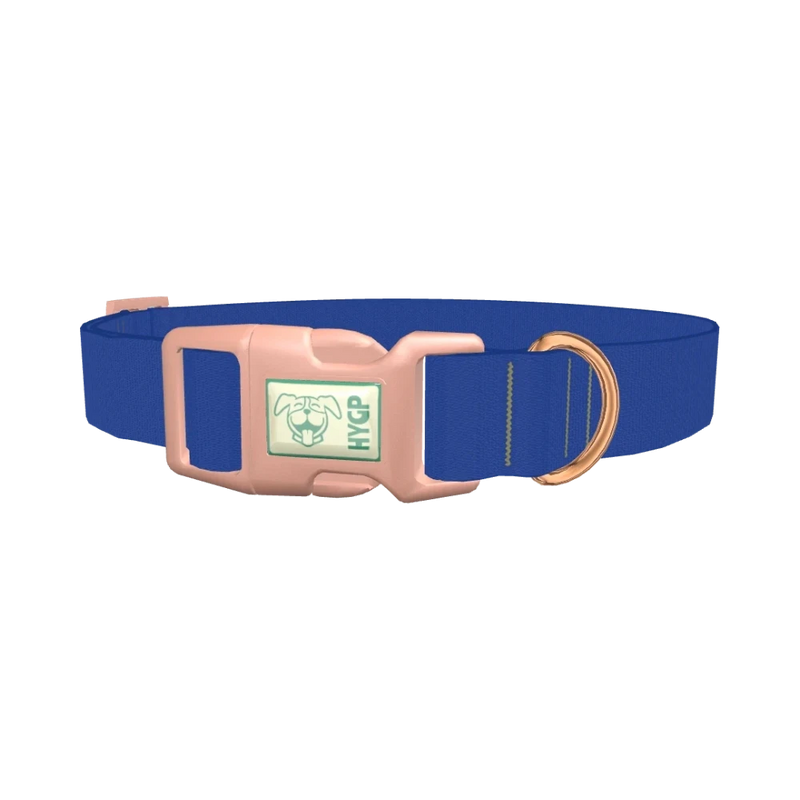 Blue Bonnet Color Dog Collar - plastic rose gold