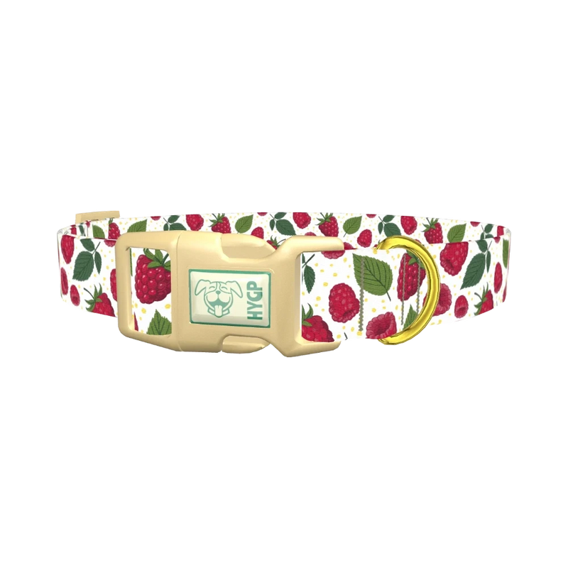 Raspberry Fruit Dog Collar - plastic gold