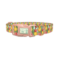 Red Yellow Tulip Dog Collar - plastic rose gold