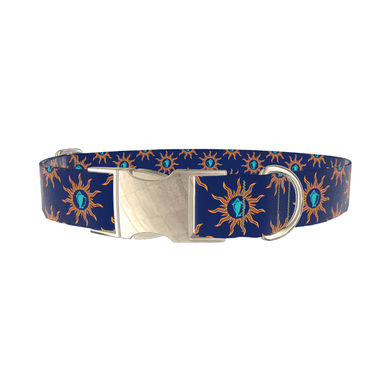 Sunburst Conch Dog Collar - metal gold