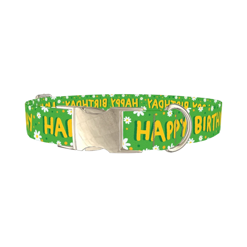 Birthday Floral Dog Collar - metal silver