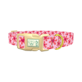 Floral Heart Dog Collar - plastic gold