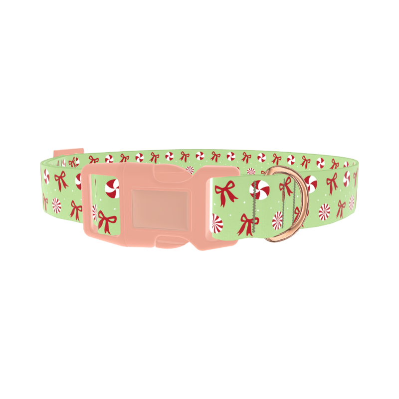 Christmas Peppermint Dog Collar - plastic rose gold