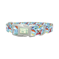Dinosaur Adventure Dog Collar - plastic silver